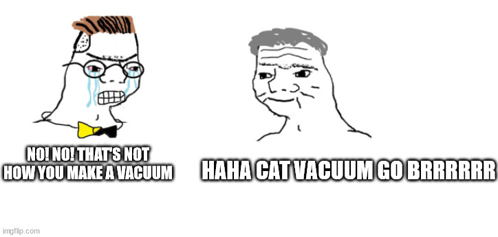 nooo haha go brrr | NO! NO! THAT'S NOT HOW YOU MAKE A VACUUM HAHA CAT VACUUM GO BRRRRRR | image tagged in nooo haha go brrr | made w/ Imgflip meme maker