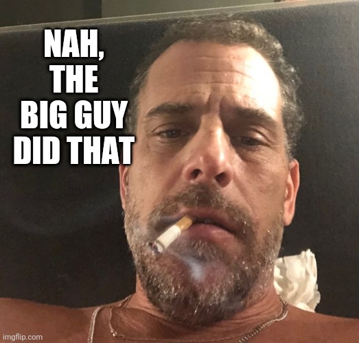 Hunter Biden | NAH, THE BIG GUY DID THAT | image tagged in hunter biden | made w/ Imgflip meme maker