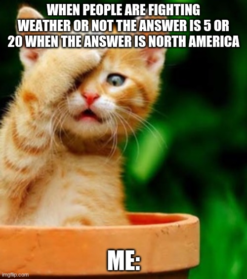 Kitten meme | WHEN PEOPLE ARE FIGHTING WEATHER OR NOT THE ANSWER IS 5 OR 20 WHEN THE ANSWER IS NORTH AMERICA; ME: | image tagged in cats | made w/ Imgflip meme maker