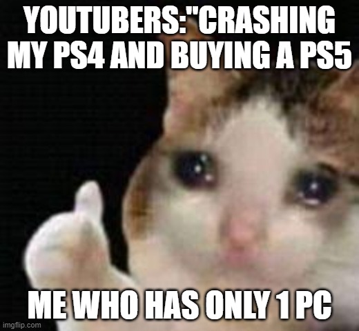 just pain...... | YOUTUBERS:"CRASHING MY PS4 AND BUYING A PS5; ME WHO HAS ONLY 1 PC | image tagged in approved crying cat | made w/ Imgflip meme maker