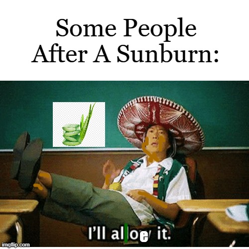 I'll Aloe It | Some People After A Sunburn:; e | image tagged in health,plants | made w/ Imgflip meme maker
