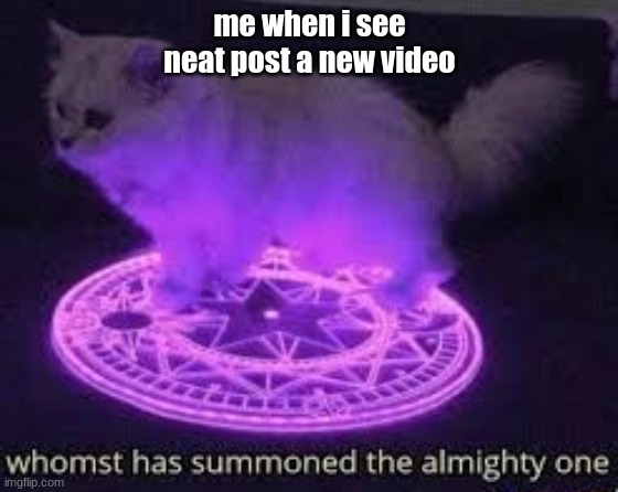 me when i see neat post a new video | image tagged in cat | made w/ Imgflip meme maker