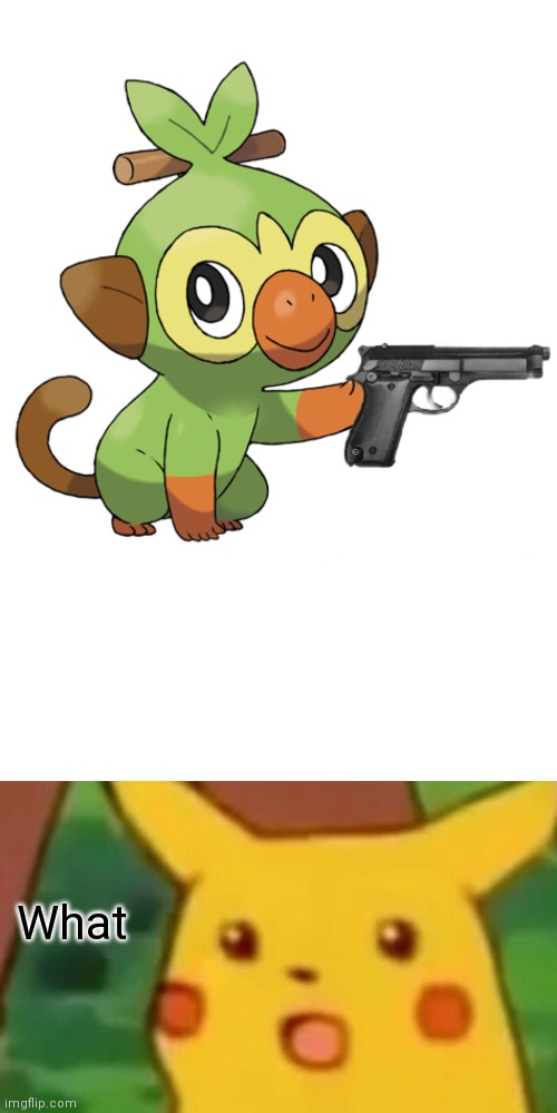What | image tagged in grookey w/ a gun,memes,surprised pikachu | made w/ Imgflip meme maker