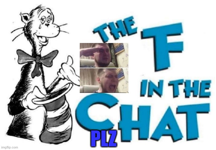 The F in the Chat | PLZ | image tagged in the f in the chat | made w/ Imgflip meme maker