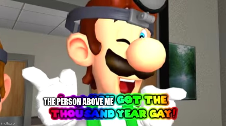 thousand year gay | THE PERSON ABOVE ME | image tagged in memes,funny,luigi,mario,smg4 | made w/ Imgflip meme maker