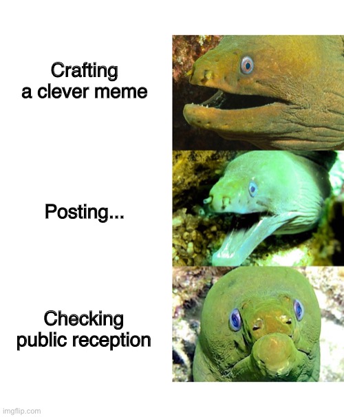 Memeing fEELs | Crafting a clever meme; Posting... Checking public reception | image tagged in memes,eels | made w/ Imgflip meme maker