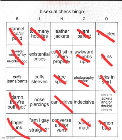 bi bingo | image tagged in bi bingo | made w/ Imgflip meme maker