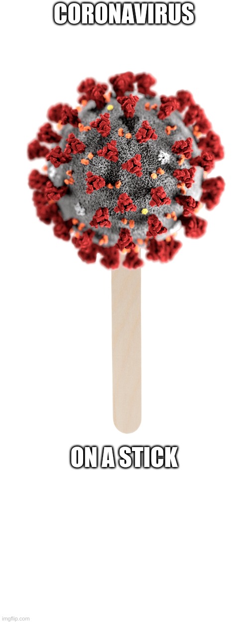CORONAVIRUS; ON A STICK | image tagged in 2020 | made w/ Imgflip meme maker