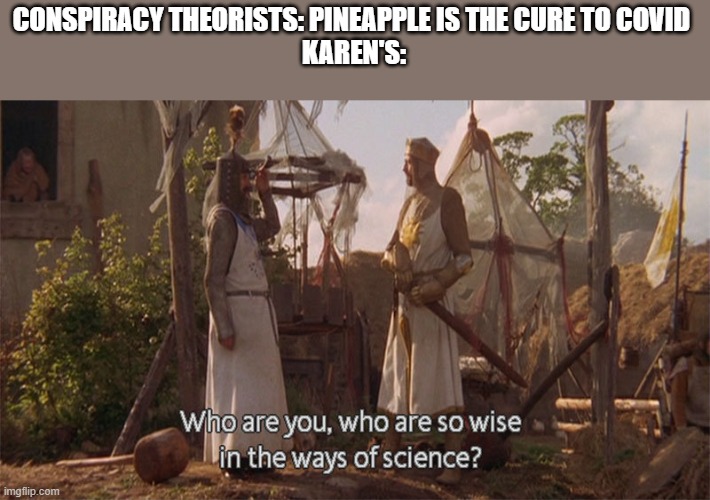 Who are you so wise in the ways of science |  CONSPIRACY THEORISTS: PINEAPPLE IS THE CURE TO COVID 
KAREN'S: | image tagged in who are you so wise in the ways of science | made w/ Imgflip meme maker