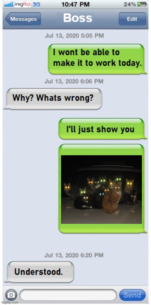 WE'LL JUST LET THEM BE | image tagged in funny cats,work,texting | made w/ Imgflip meme maker