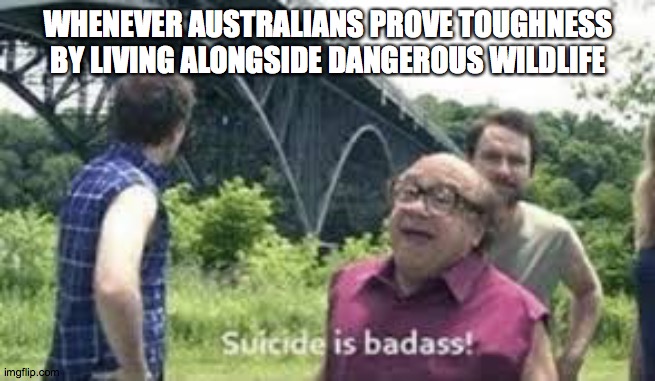 suicide is badass | WHENEVER AUSTRALIANS PROVE TOUGHNESS BY LIVING ALONGSIDE DANGEROUS WILDLIFE | image tagged in suicide is badass | made w/ Imgflip meme maker