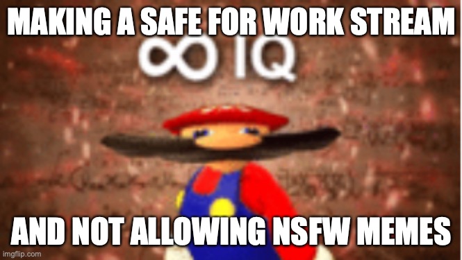 if there is a safe for work stream i will take this meme down | MAKING A SAFE FOR WORK STREAM; AND NOT ALLOWING NSFW MEMES | image tagged in infinite iq | made w/ Imgflip meme maker