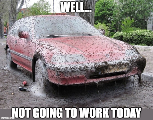 FORGET THAT | WELL... NOT GOING TO WORK TODAY | image tagged in work,nope | made w/ Imgflip meme maker