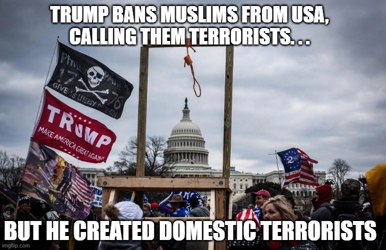 Trump Created Domestic Terrorists - Insurrection 1/6/21 | TRUMP BANS MUSLIMS FROM USA,
CALLING THEM TERRORISTS. . . BUT HE CREATED DOMESTIC TERRORISTS | image tagged in trump insurrection jan 6 2021,trump,sore loser,terrorists,capitol hill,historical | made w/ Imgflip meme maker