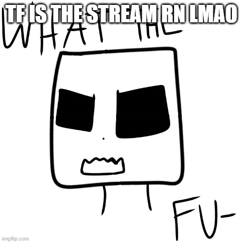 What the fu- | TF IS THE STREAM RN LMAO | image tagged in what the fu- | made w/ Imgflip meme maker