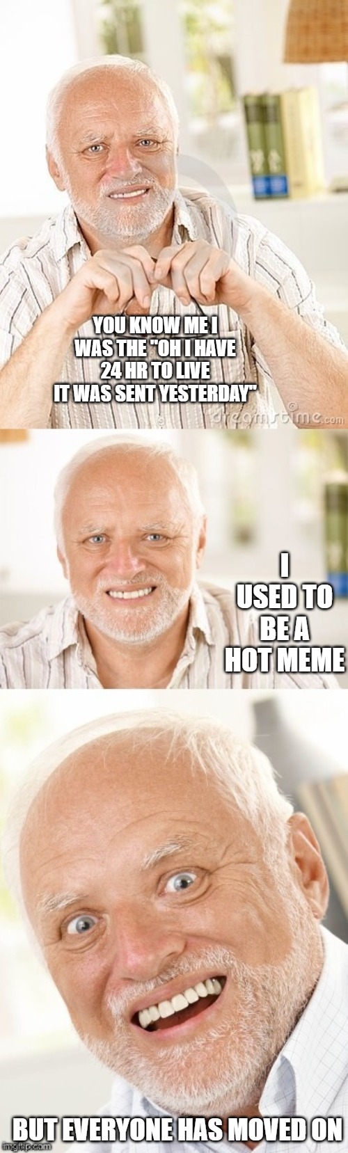 Hide the pun Harold | YOU KNOW ME I WAS THE "OH I HAVE 24 HR TO LIVE IT WAS SENT YESTERDAY"; I USED TO BE A HOT MEME; BUT EVERYONE HAS MOVED ON | image tagged in hide the pun harold | made w/ Imgflip meme maker