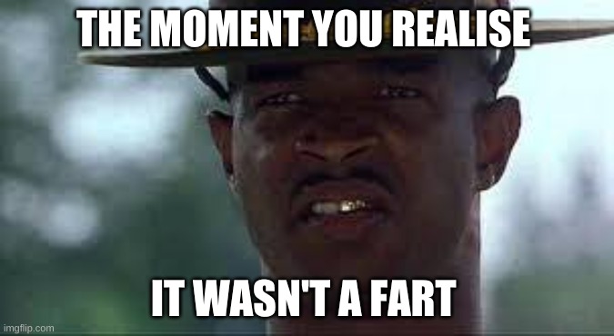 memes | THE MOMENT YOU REALISE; IT WASN'T A FART | image tagged in major payne | made w/ Imgflip meme maker