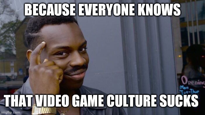 Gamers rise up | BECAUSE EVERYONE KNOWS; THAT VIDEO GAME CULTURE SUCKS | image tagged in memes,roll safe think about it | made w/ Imgflip meme maker