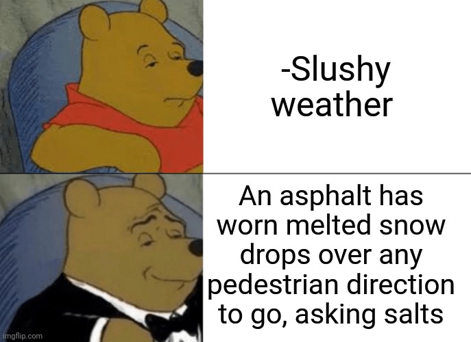 -Bath to wrath. | -Slushy weather; An asphalt has worn melted snow drops over any pedestrian direction to go, asking salts | image tagged in memes,tuxedo winnie the pooh,salt bae,snowflakes,what if i told you,bear | made w/ Imgflip meme maker