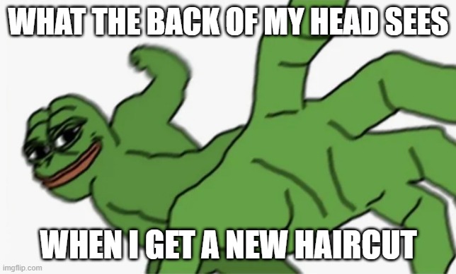 pepe punch | WHAT THE BACK OF MY HEAD SEES; WHEN I GET A NEW HAIRCUT | image tagged in pepe punch | made w/ Imgflip meme maker