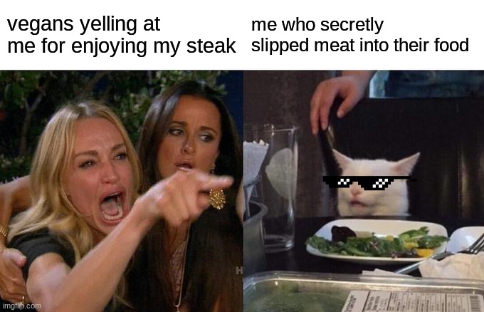 Woman Yelling At Cat | vegans yelling at me for enjoying my steak; me who secretly slipped meat into their food | image tagged in memes,woman yelling at cat | made w/ Imgflip meme maker