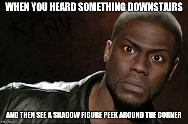 Kevin Hart | WHEN YOU HEARD SOMETHING DOWNSTAIRS; AND THEN SEE A SHADOW FIGURE PEEK AROUND THE CORNER | image tagged in memes,kevin hart | made w/ Imgflip meme maker