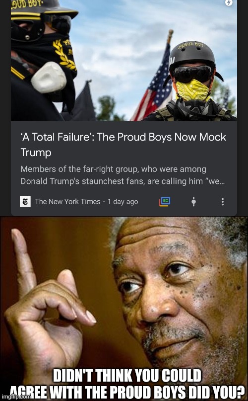 DIDN'T THINK YOU COULD AGREE WITH THE PROUD BOYS DID YOU? | image tagged in this morgan freeman,memes | made w/ Imgflip meme maker