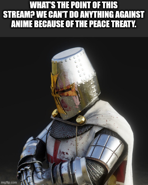 Paladin | WHAT'S THE POINT OF THIS STREAM? WE CAN'T DO ANYTHING AGAINST ANIME BECAUSE OF THE PEACE TREATY. | image tagged in paladin | made w/ Imgflip meme maker