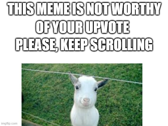 be happy, look at other good memes |  THIS MEME IS NOT WORTHY; OF YOUR UPVOTE; PLEASE, KEEP SCROLLING | image tagged in goats,happy | made w/ Imgflip meme maker