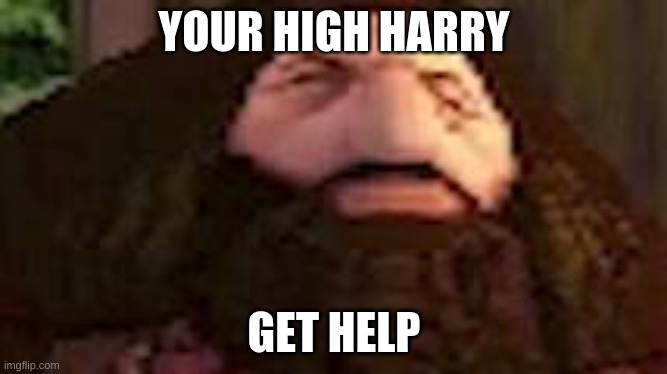 PS1 Hagrid | YOUR HIGH HARRY; GET HELP | image tagged in ps1 hagrid | made w/ Imgflip meme maker