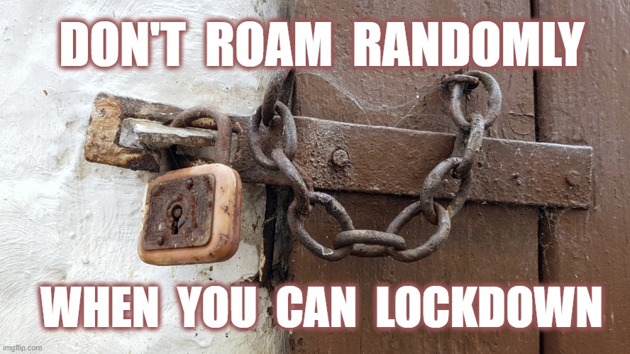 Don't roam, lockdown. |  DON'T  ROAM  RANDOMLY; WHEN  YOU  CAN  LOCKDOWN | image tagged in padlocked latch,coronavirus,isolation,covid-19,healthcare,safety | made w/ Imgflip meme maker