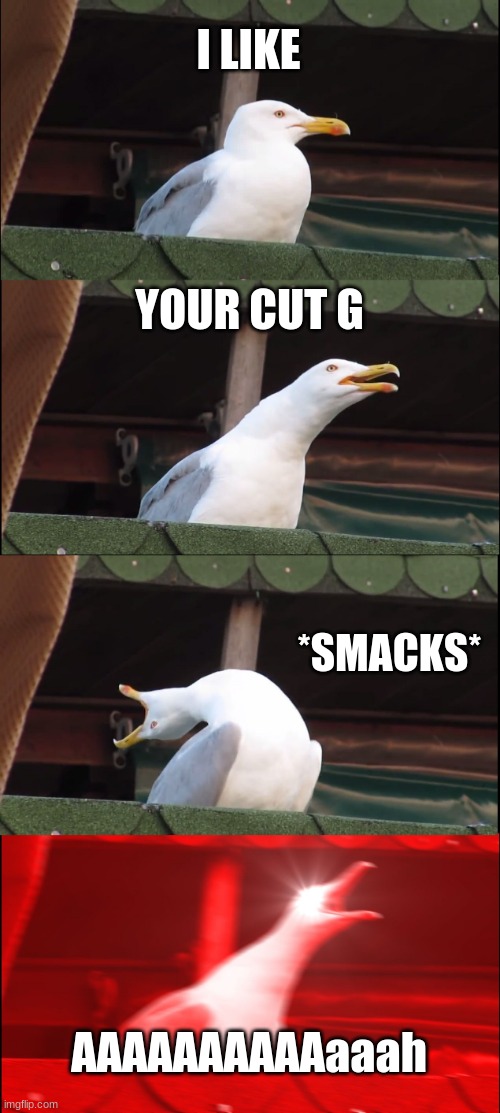 I like ur cut g =) | I LIKE; YOUR CUT G; *SMACKS*; AAAAAAAAAAaaah | image tagged in memes,inhaling seagull,i like ya cut g,funny | made w/ Imgflip meme maker