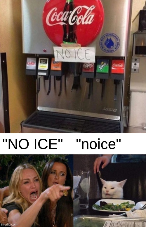 "NO ICE"; "noice" | image tagged in memes,woman yelling at cat,no ice | made w/ Imgflip meme maker