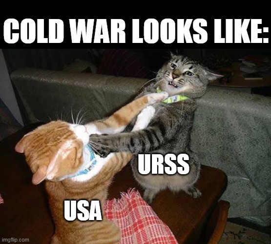 Two cats fighting for real | COLD WAR LOOKS LIKE:; URSS; USA | image tagged in two cats fighting for real | made w/ Imgflip meme maker
