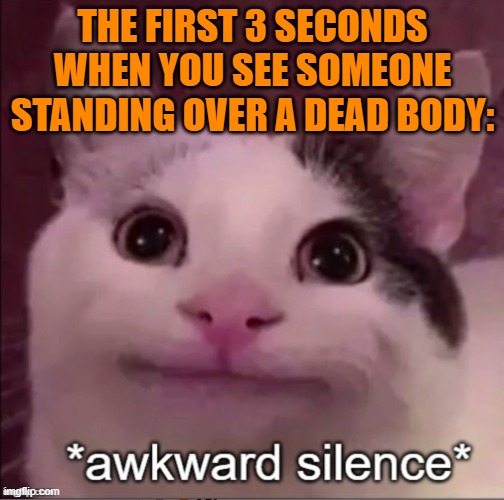 crickets play |  THE FIRST 3 SECONDS WHEN YOU SEE SOMEONE STANDING OVER A DEAD BODY: | image tagged in awkward silence cat,among us,memes | made w/ Imgflip meme maker