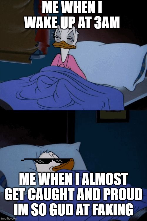 Sleeping Donald Duck | ME WHEN I WAKE UP AT 3AM; ME WHEN I ALMOST GET CAUGHT AND PROUD IM SO GUD AT FAKING | image tagged in sleeping donald duck | made w/ Imgflip meme maker