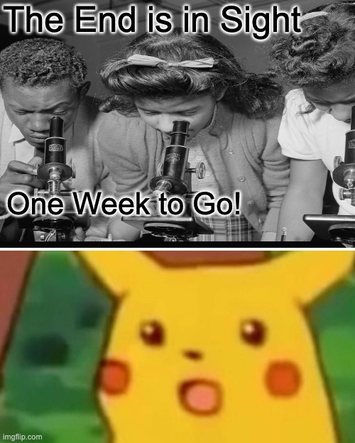 Microscope 1 | The End is in Sight; One Week to Go! | image tagged in memes,surprised pikachu | made w/ Imgflip meme maker