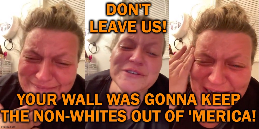 Bwwwwaaaahhhh | DON'T LEAVE US! YOUR WALL WAS GONNA KEEP THE NON-WHITES OUT OF 'MERICA! | image tagged in garbage,people,crying | made w/ Imgflip meme maker