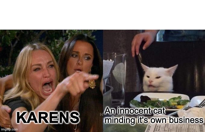 Woman Yelling At Cat Meme | An innocent cat minding it's own business; KARENS | image tagged in memes,woman yelling at cat | made w/ Imgflip meme maker