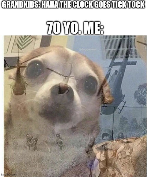 PTSD Chihuahua | 70 YO. ME:; GRANDKIDS: HAHA THE CLOCK GOES TICK TOCK | image tagged in ptsd chihuahua | made w/ Imgflip meme maker