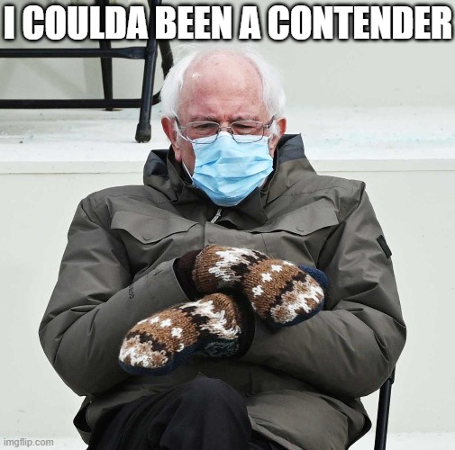 I COULDA BEEN A CONTENDER | image tagged in bernie | made w/ Imgflip meme maker