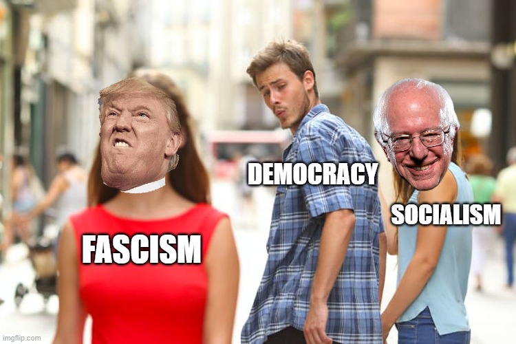 Let's see what you fools think about this |  DEMOCRACY; SOCIALISM; FASCISM | image tagged in memes,distracted boyfriend | made w/ Imgflip meme maker