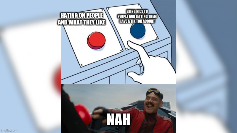 the button decision |  BEING NICE TO PEOPLE AND LETTING THEM HAVE A TIK TOK ACOUNT; HATING ON PEOPLE AND WHAT THEY LIKE; NAH | image tagged in the button decision | made w/ Imgflip meme maker