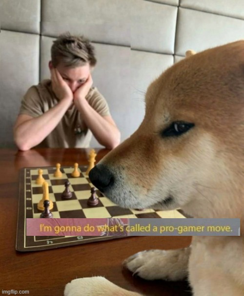 Chess doge | image tagged in chess doge | made w/ Imgflip meme maker