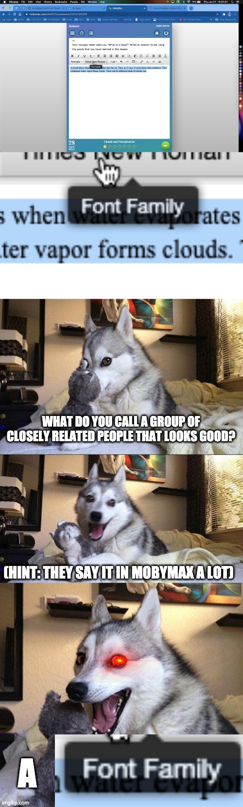 MobyMax Font Family | WHAT DO YOU CALL A GROUP OF CLOSELY RELATED PEOPLE THAT LOOKS GOOD? (HINT: THEY SAY IT IN MOBYMAX A LOT); A | image tagged in memes,bad pun dog,mobymax,fonts,font,family | made w/ Imgflip meme maker