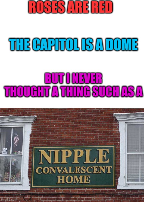 i- | ROSES ARE RED; THE CAPITOL IS A DOME; BUT I NEVER THOUGHT A THING SUCH AS A | image tagged in blank white template,crazy,what is this,funny | made w/ Imgflip meme maker
