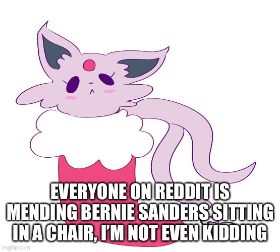 Espeon in a stocking | EVERYONE ON REDDIT IS MENDING BERNIE SANDERS SITTING IN A CHAIR, I’M NOT EVEN KIDDING | image tagged in espeon in a stocking | made w/ Imgflip meme maker