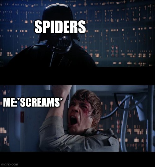 Star Wars No Meme | SPIDERS; ME:*SCREAMS* | image tagged in memes,star wars no | made w/ Imgflip meme maker