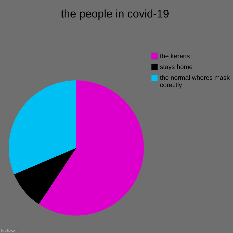 the people in covid-19 | the normal wheres mask corectly, stays home, the kerens | image tagged in charts,pie charts | made w/ Imgflip chart maker