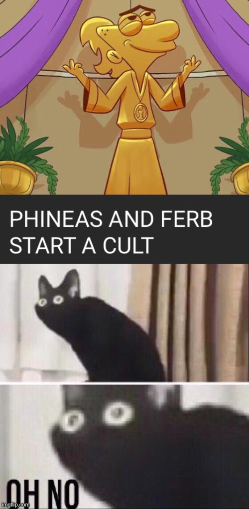 They what now | image tagged in oh no cat,funny,phineas and ferb | made w/ Imgflip meme maker